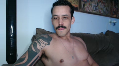 GATOXXLBR  16-11-2022